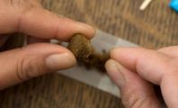 Ce dealer vendait en réalité des bouillons en cube