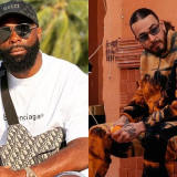 kaaris sch