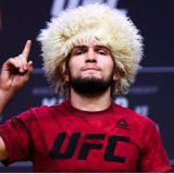khabib ufc
