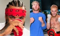 The Game défie les frères Paul, ils acceptent son combat dans la rue