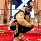 la fouine