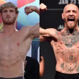 logan paul conor