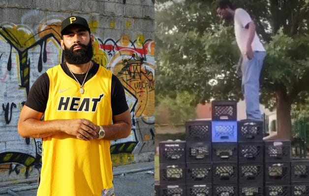 la fouine