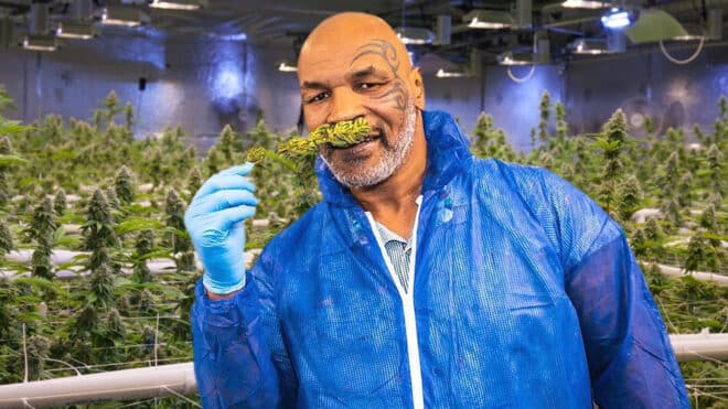 © Instagram : @miketyson 