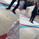 Met Gala : Un cafard vole la vedette sur le redcarpet