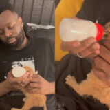 Gims s'attire la colère des défenseurs des animaux après une vidéo avec un bébé caracal