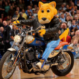 NBA : cette mascotte gagne 620 000 dollars pour soutenir les Denver Nuggets