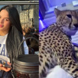 Sarah Fraisou manque de se faire croquer le visage par un guépard