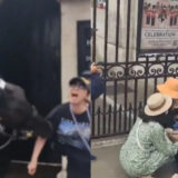 Mordue par un cheval de la garde royale britannique, une touriste s'effondre et amuse les passants