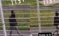 Koba LaD mis en examen : des images de lui à Fleury-Mérogis fuitent sur la Toile