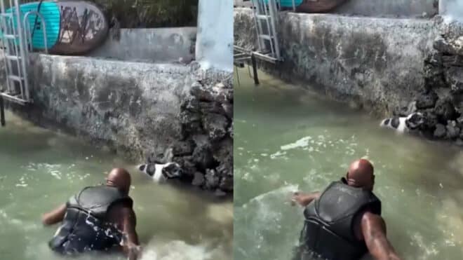Booba répond aux critiques après sa vidéo où il sauve un chien de la noyade