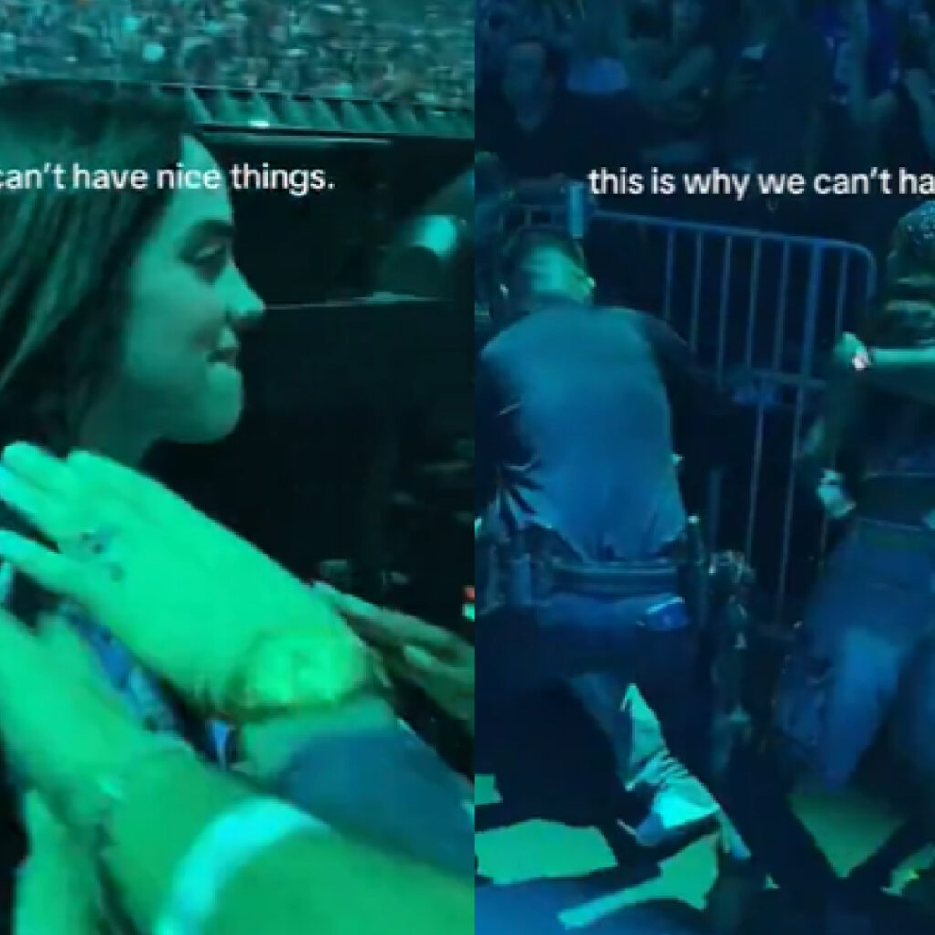 Billie Eilish agressée en plein concert : la fan qui l'a défendue fait le buzz