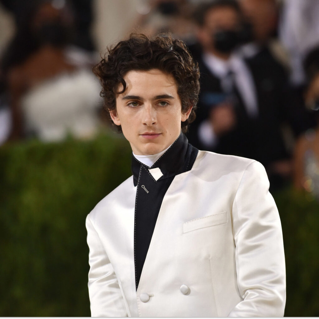 Timothée Chalamet entretient le mystère autour de son identité de rappeur masqué